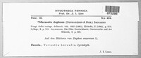 Marssonina daphnes image